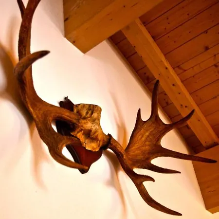 Apartmán Seasons By In One