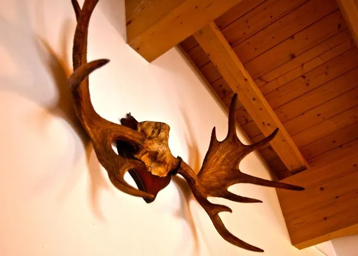 Апартаменты Seasons By In One